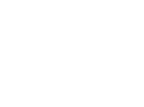 360 Immigration Law Group